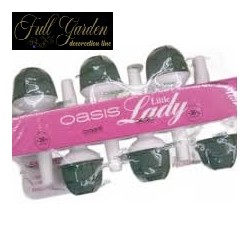 OASIS LITTLE LADY CM.5X15 PZ.6