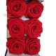 ROSE STABILIZZATE INES X6 RED D.4CM