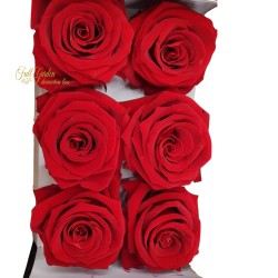 Rose Stabilizzate Ines X6 Red D.4cm