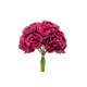 BUNDLE PEONIE X 10 CM.32 BEAUTY