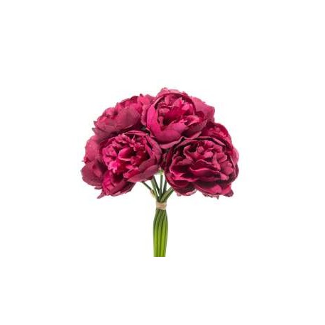 BUNDLE PEONIE X 10 CM.32 BEAUTY