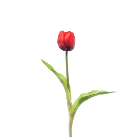 TULIPANO SINGOLO GOMMA RED