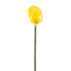 CALLA SINGOLA CM.78 YELLOW