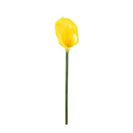 CALLA SINGOLA CM.78 YELLOW