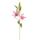 LILIUM NATURAL TOUCH  CM 85 PINK