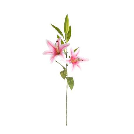 LILIUM NATURAL TOUCH  CM 85 PINK