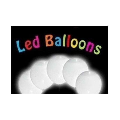 LED WHITE PER PALLONCINO PZ 5