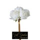 BOUQUET PEONIA X 6 H.CM.38 WHITE