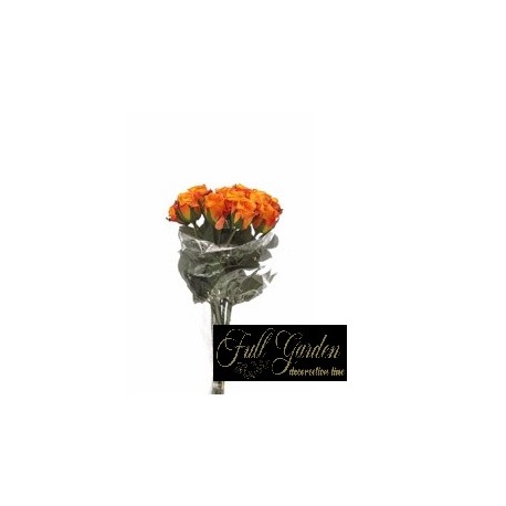 BOUQUET 11 ROSINI CM.38  ORANGE