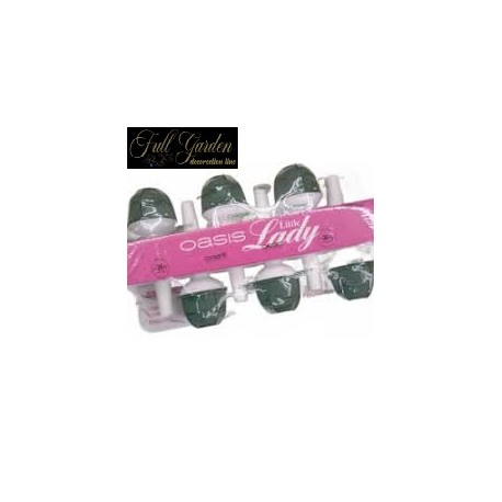 OASIS LITTLE LADY CM.8X PZ.6