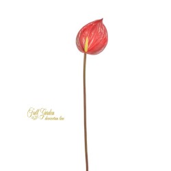 ANTHURIUM MEDIO CM.80 RED