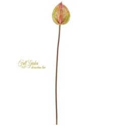 ANTHURIUM MEDIO CM.80 GREEN