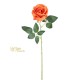 ROSA JULIET ORANGE  CM.60