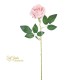 ROSA JULIET PINK CM.60