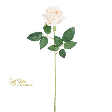 ROSA JULIET CREMA CM.60