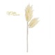 ASTIBLE FLOCCATO CM.70 IVORY