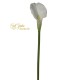 CALLA RAMO CM.78 CREMA