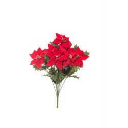 Bush Mini  Poinsettia  X 7  Cm.50 Red