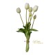 MAZZO TULIPANO X6 GREEN WHITE TOUCH CM.39